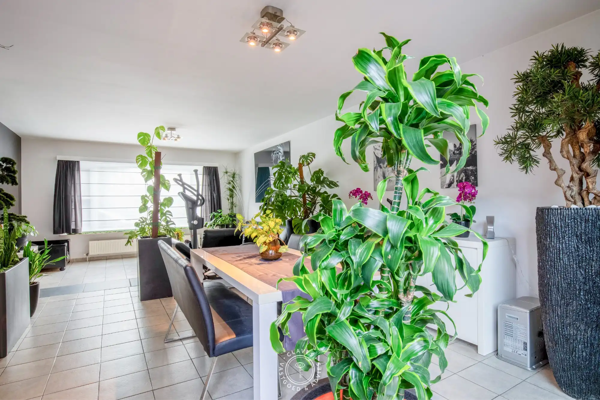 Instapklare gezinswoning met 3 slaapkamers, garage en verrassend ruime tuin in Sint-Niklaas foto 8