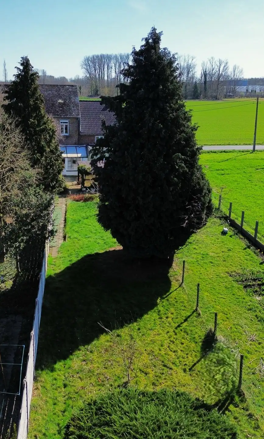 Huis te koop foto 21