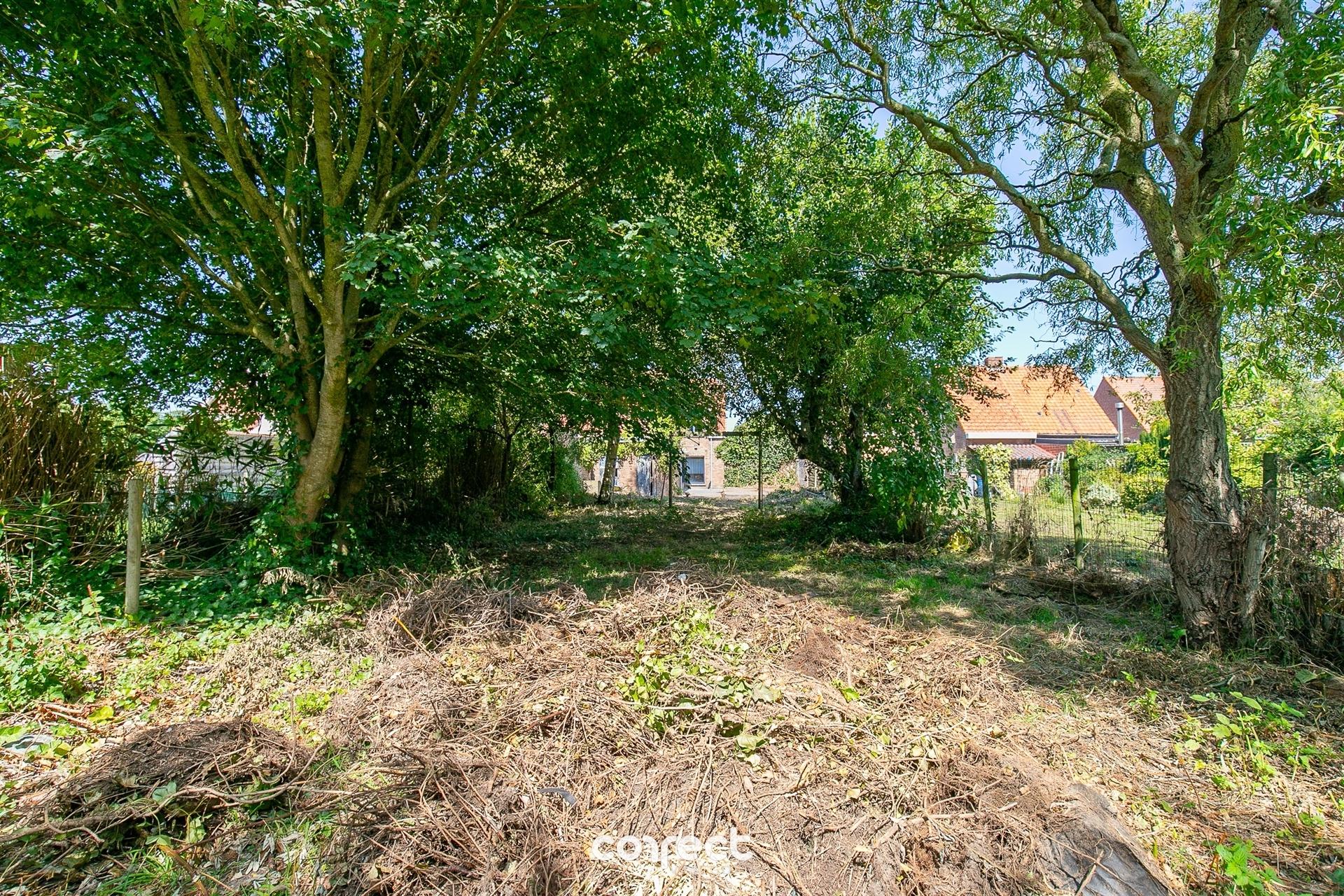 Halfopen bebouwing met veel mogelijkheden waaronder oprit, losstaande garage op een ruim perceel. foto 12