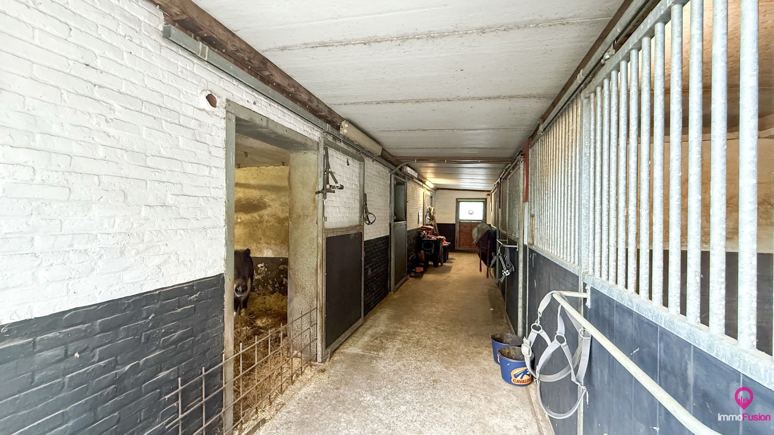 Idyllische woning met 2 slaapkamers, weide en stallen! foto 23