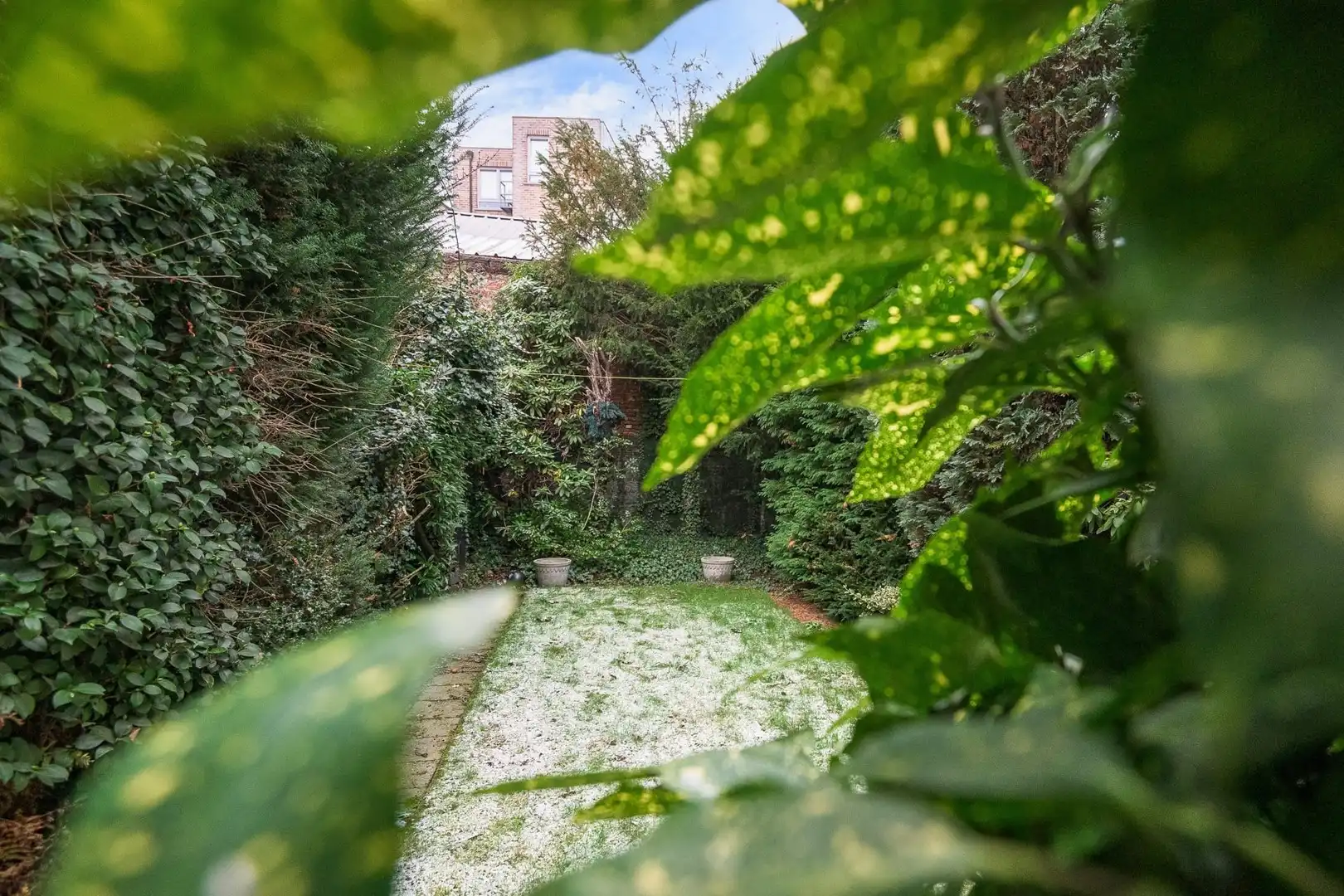 🏡 Charmante te renoveren woning met tuin in het historisch centrum van Merksem foto 11