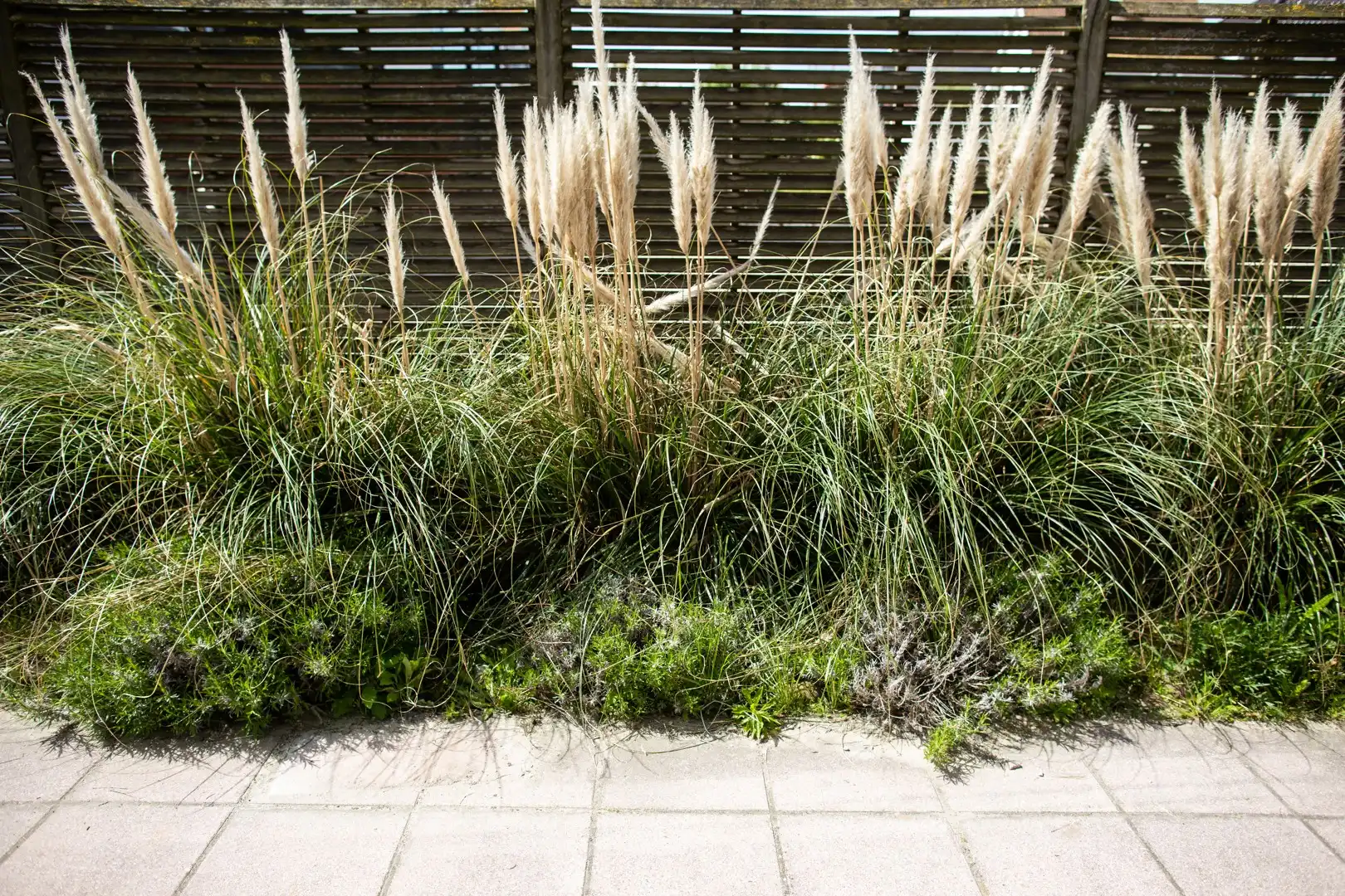 Alleenstaande villa met unieke signatuur in de rustige Strandwijk van Zeebrugge foto 35