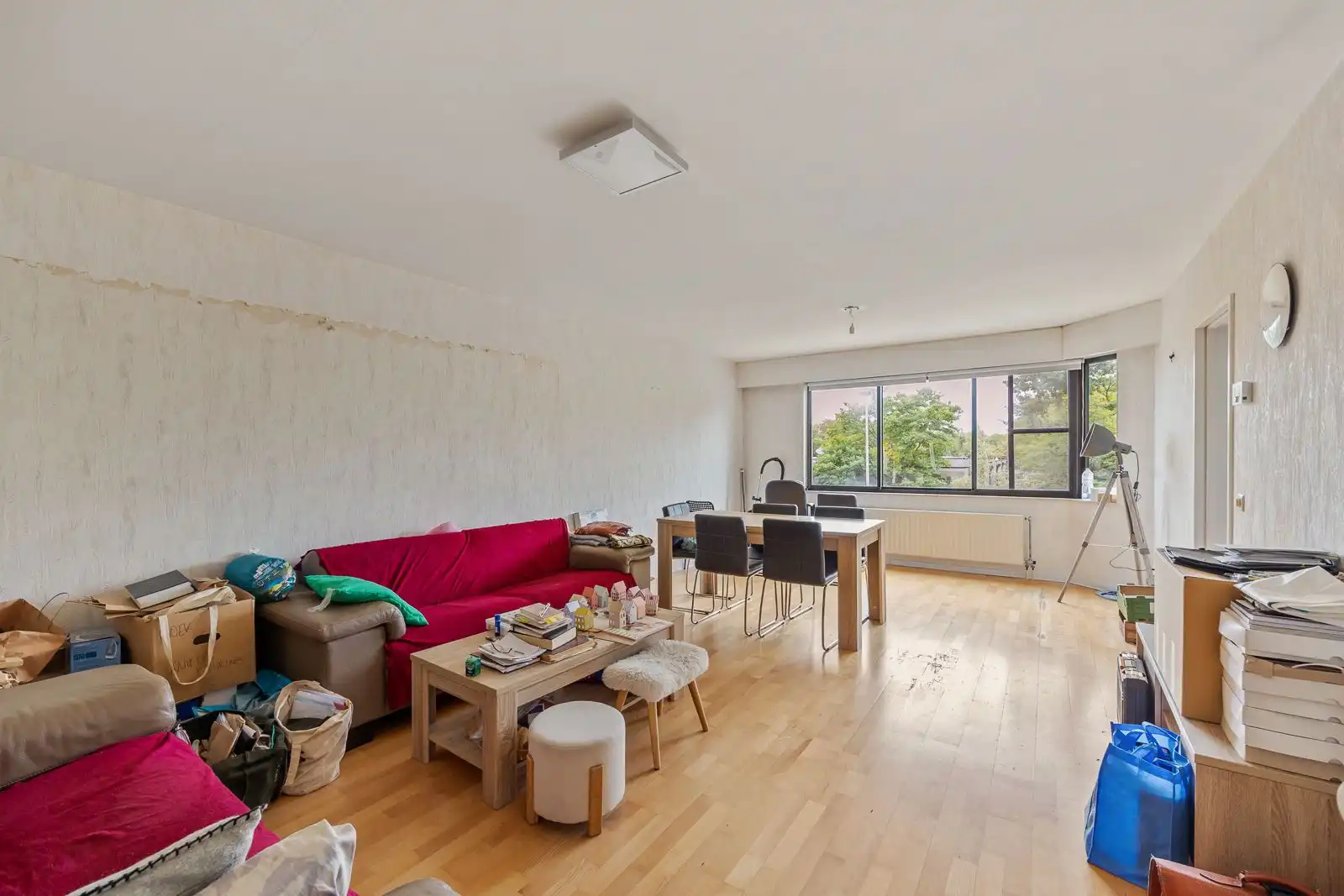 Ideale investering: ruim 2-slpk appartement met balkon en staanplaats in Ekeren! foto 2