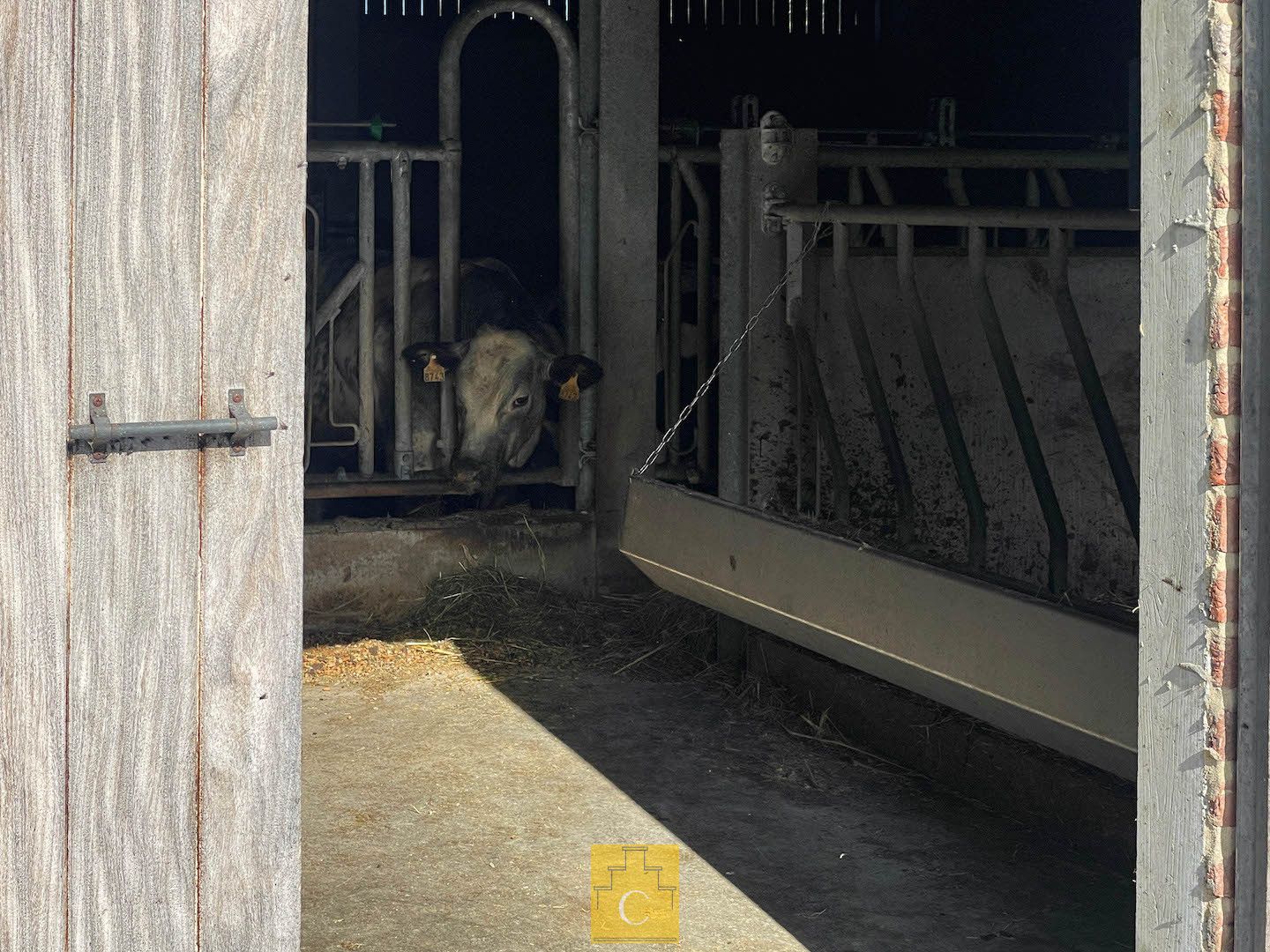 Boerderij met nieuwbouwloods (+400M2) en woning op 11.776 m² foto 17