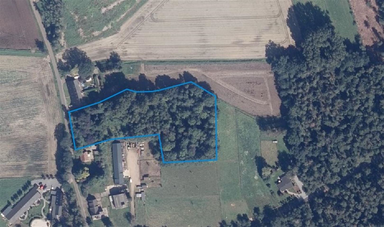 TE KOOP: Weiland van 1,08 ha te Beverlo! foto 2