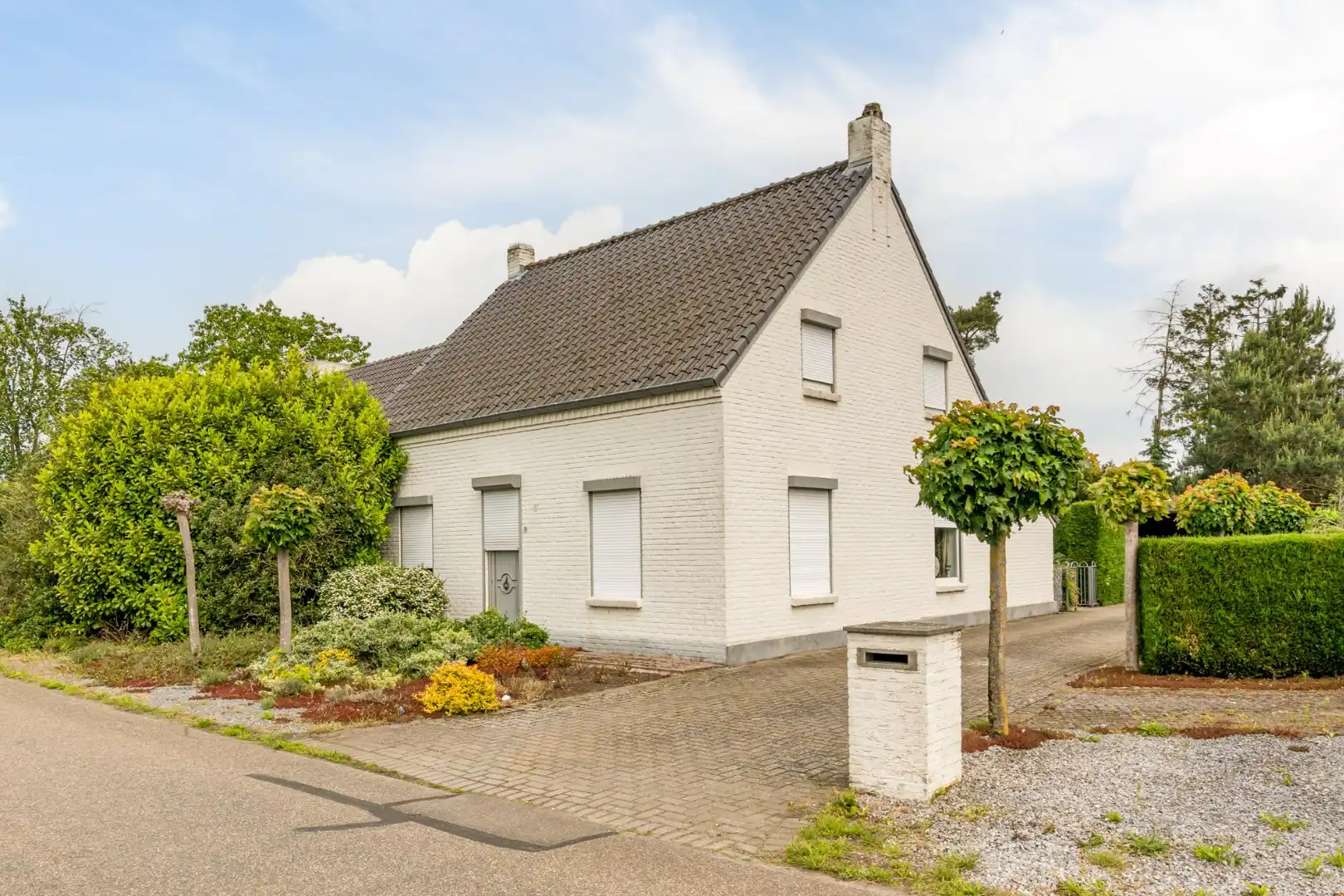 Ruime, zeer rustig gelegen woning op een perceel 29a90ca te Molenbeersel - een deelgemeente van Kinrooi!  foto 3