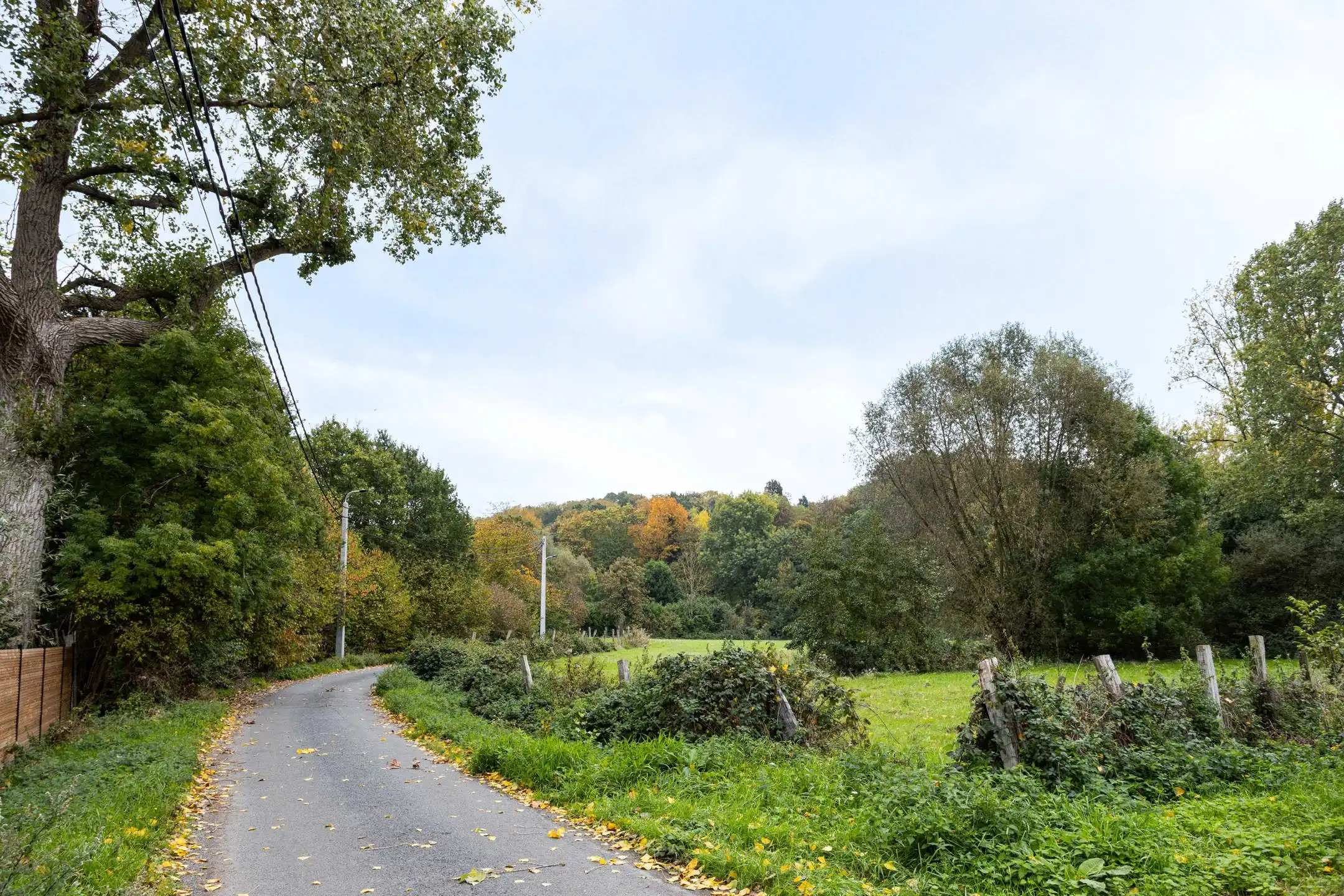 Solide gelijkvloerse woning op een heel goede locatie! foto 34