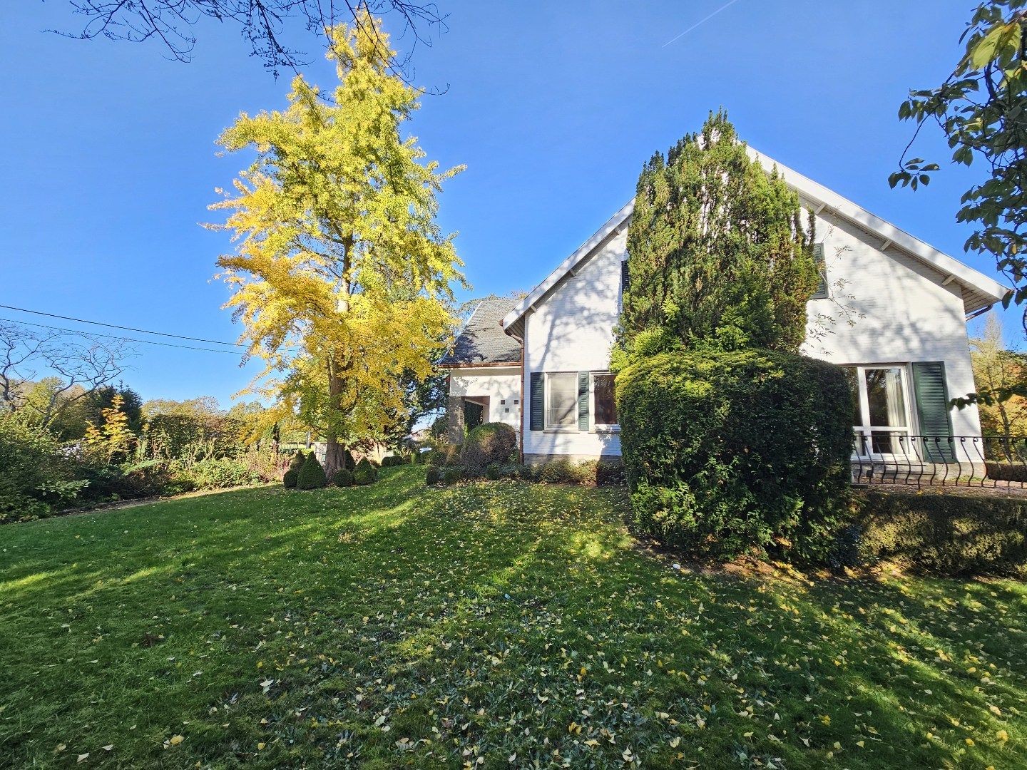 Ruime villa op 1,15 ha  foto 25