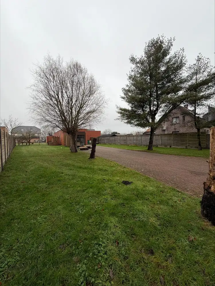 Open bouwperceel Zonhoven foto 9