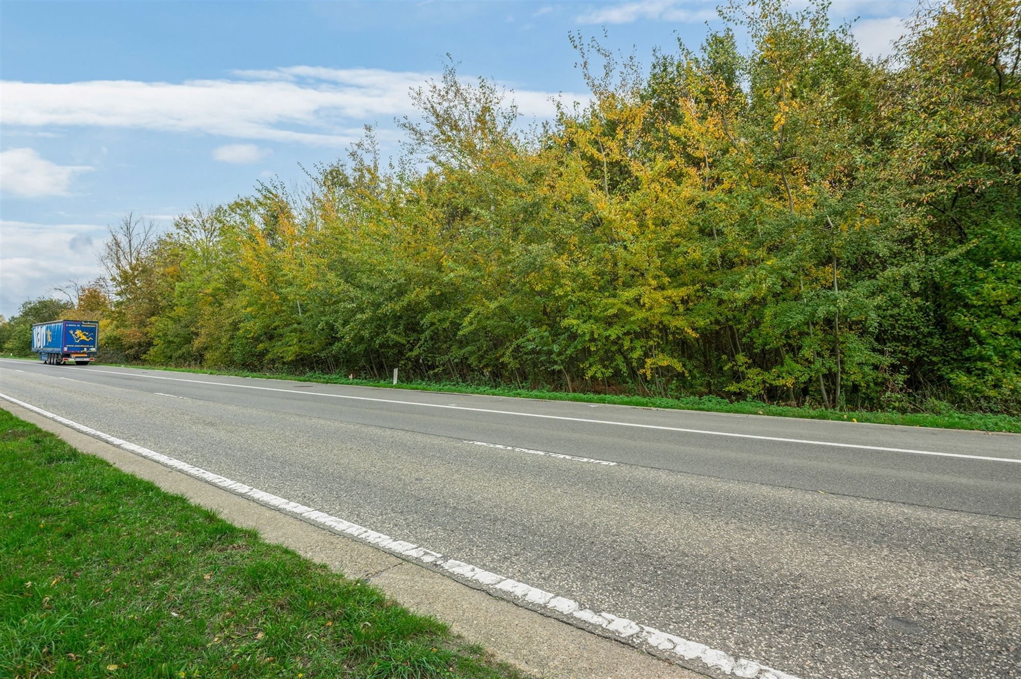 Prachtig perceel met bomen te Mechelen foto 8