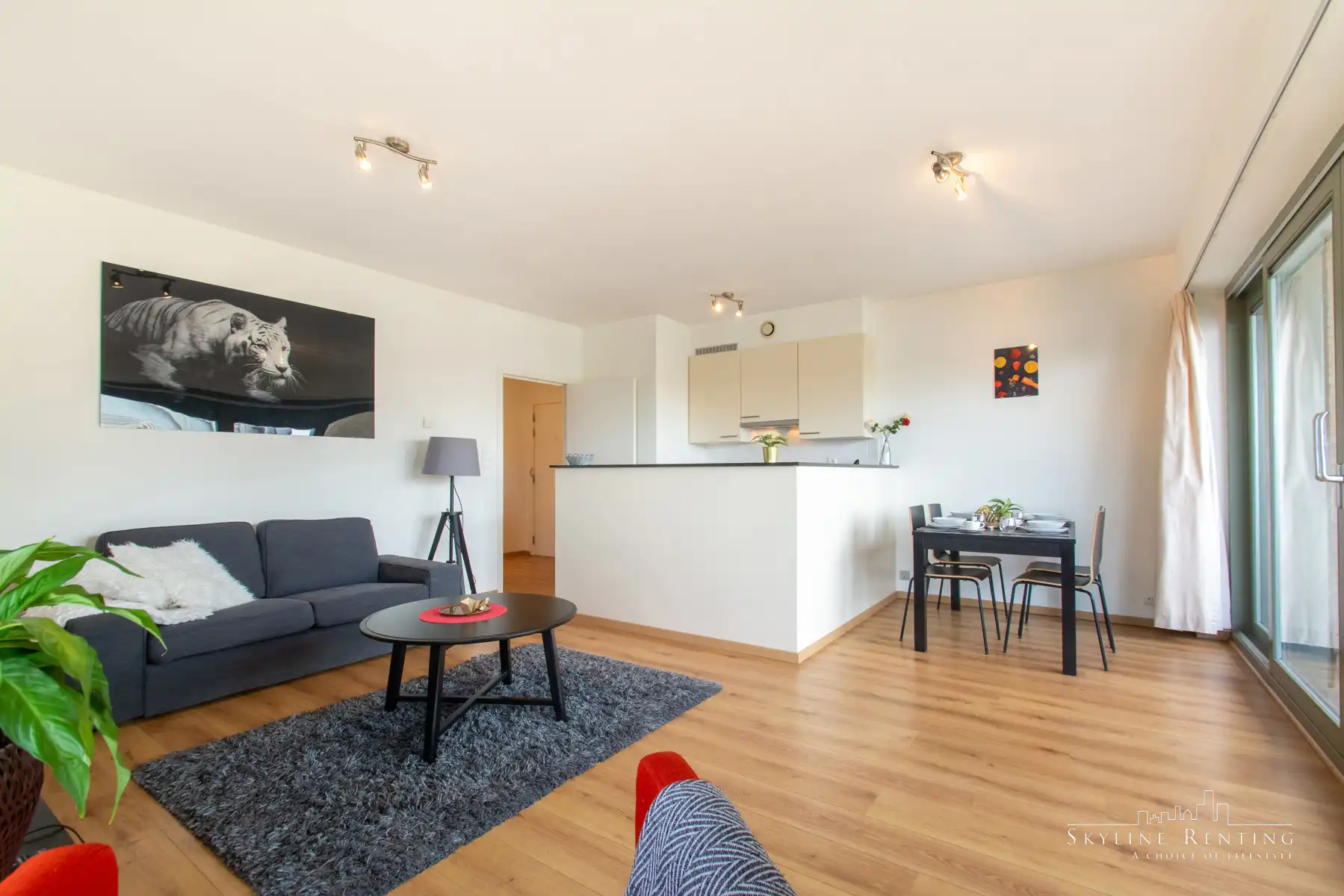 Mooi gemeubeld app. 1 Kamer + MOOI TERRAS! (EU area) foto 3