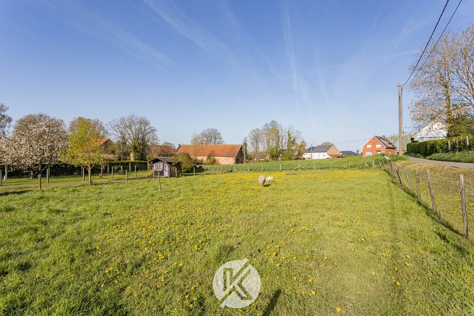 Robuuste woning met nabijgelegen weide van 10 are foto 4