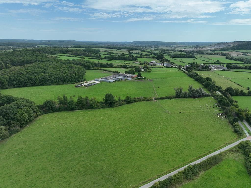 Landbouwbedrijf te Wallonië foto 5