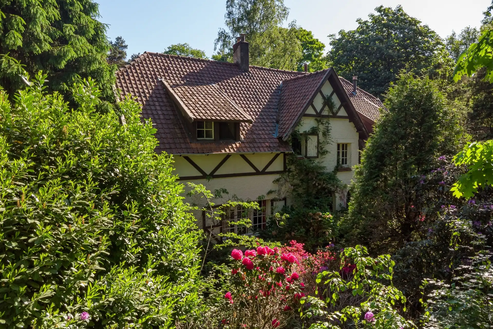 Karaktervolle cottage-villa op een royaal perceel van 8.603 m² in Kapellenbos. foto 32