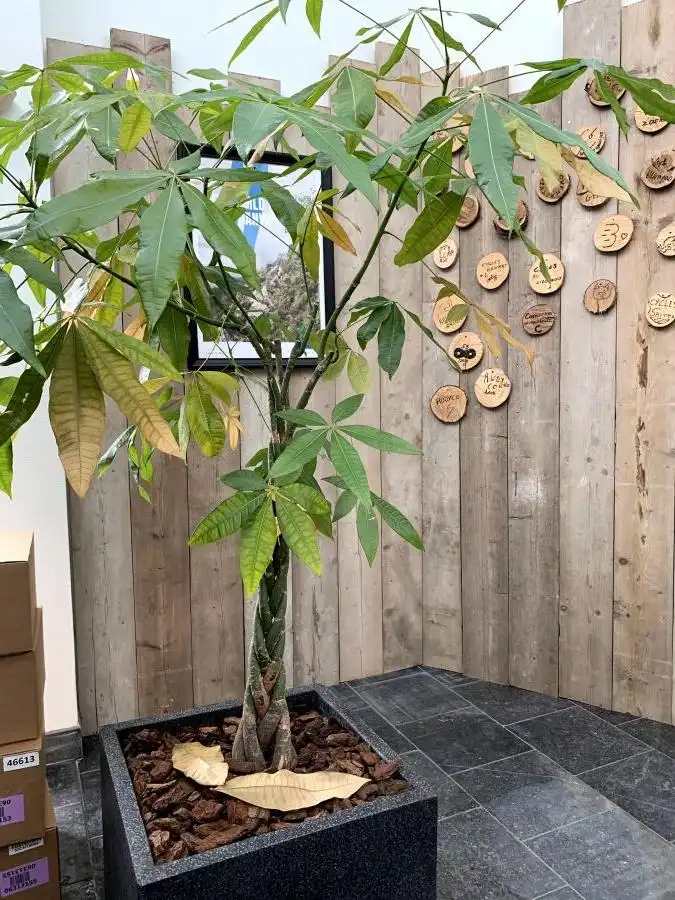 Zandvoortstraat 21, 2800 Mechelen foto 12