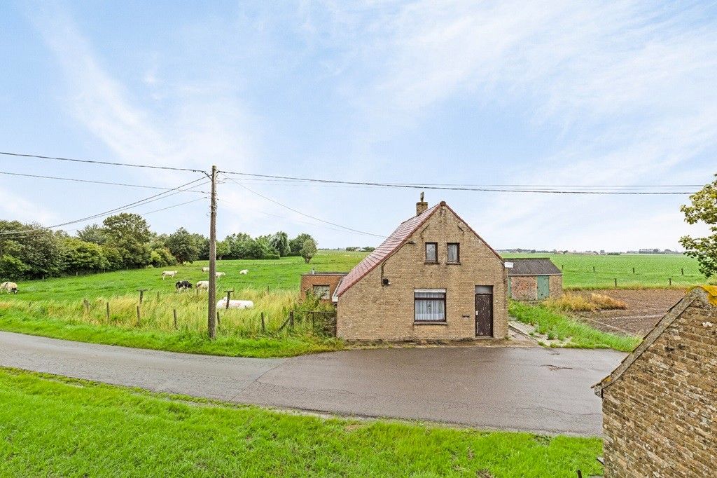 ALVERINGEM: Voormalige herberg "De Rustplaats" waar grazende koeien Uw dichtste buur zijn in een weids en open landschap op 1.000m² grondoppervlakte foto 3