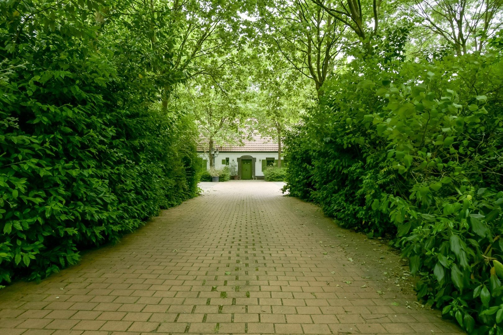 Exclusief domein op unieke locatie in Dentergem! foto 26