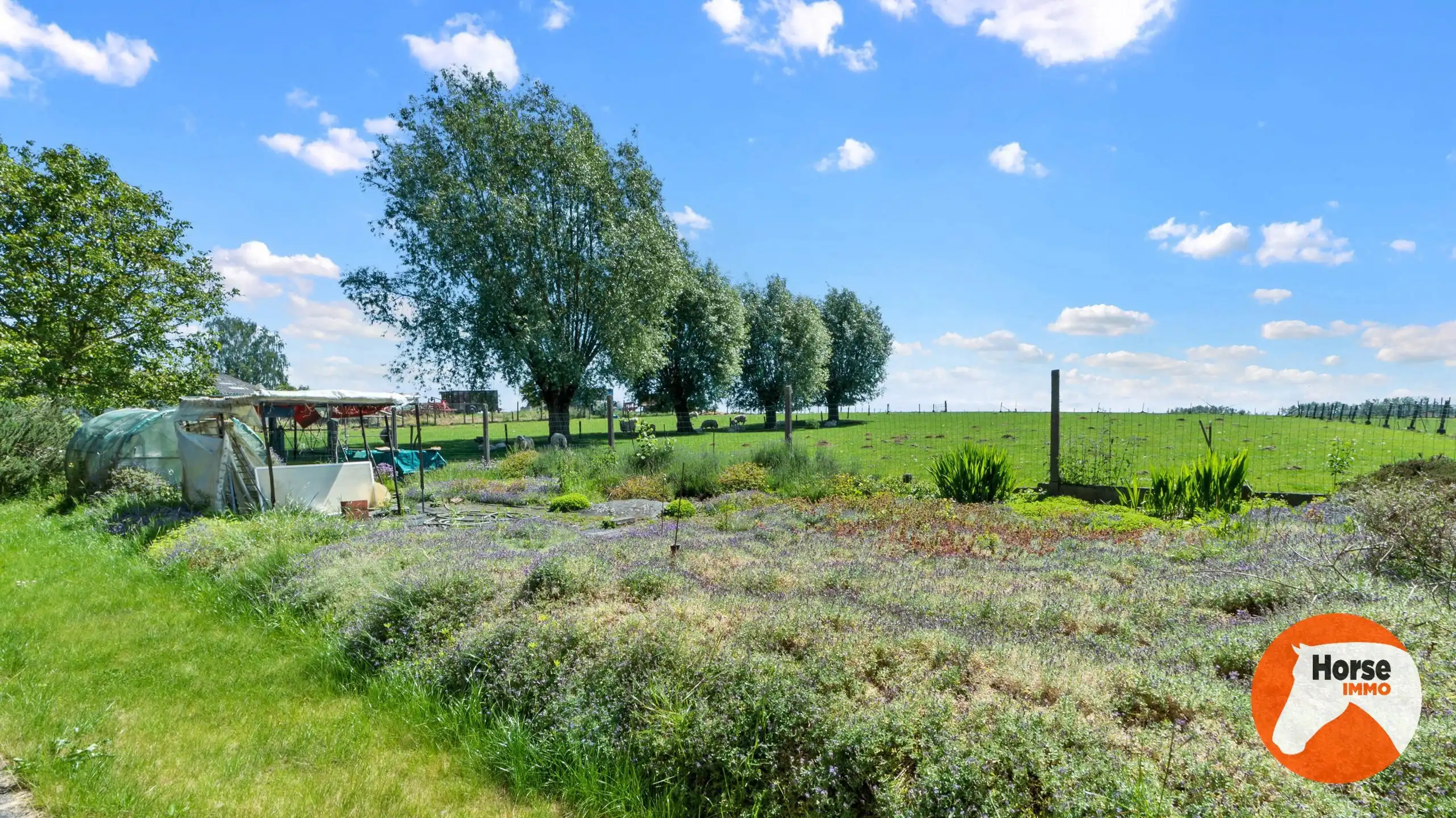 LIERDE - Woning met bijgebouw op 94 are foto 32