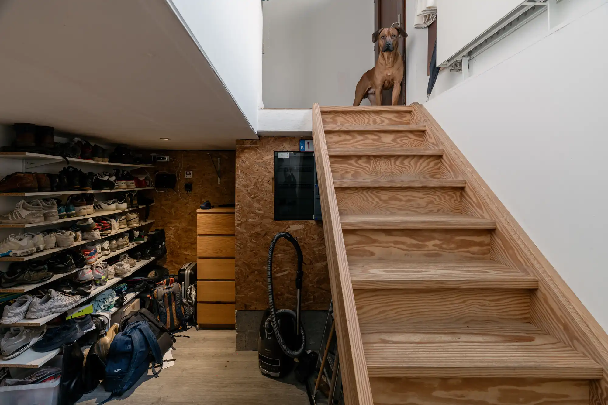 Reuzefijne woning met 6 slaapkamers aan het Krugerplein foto 10