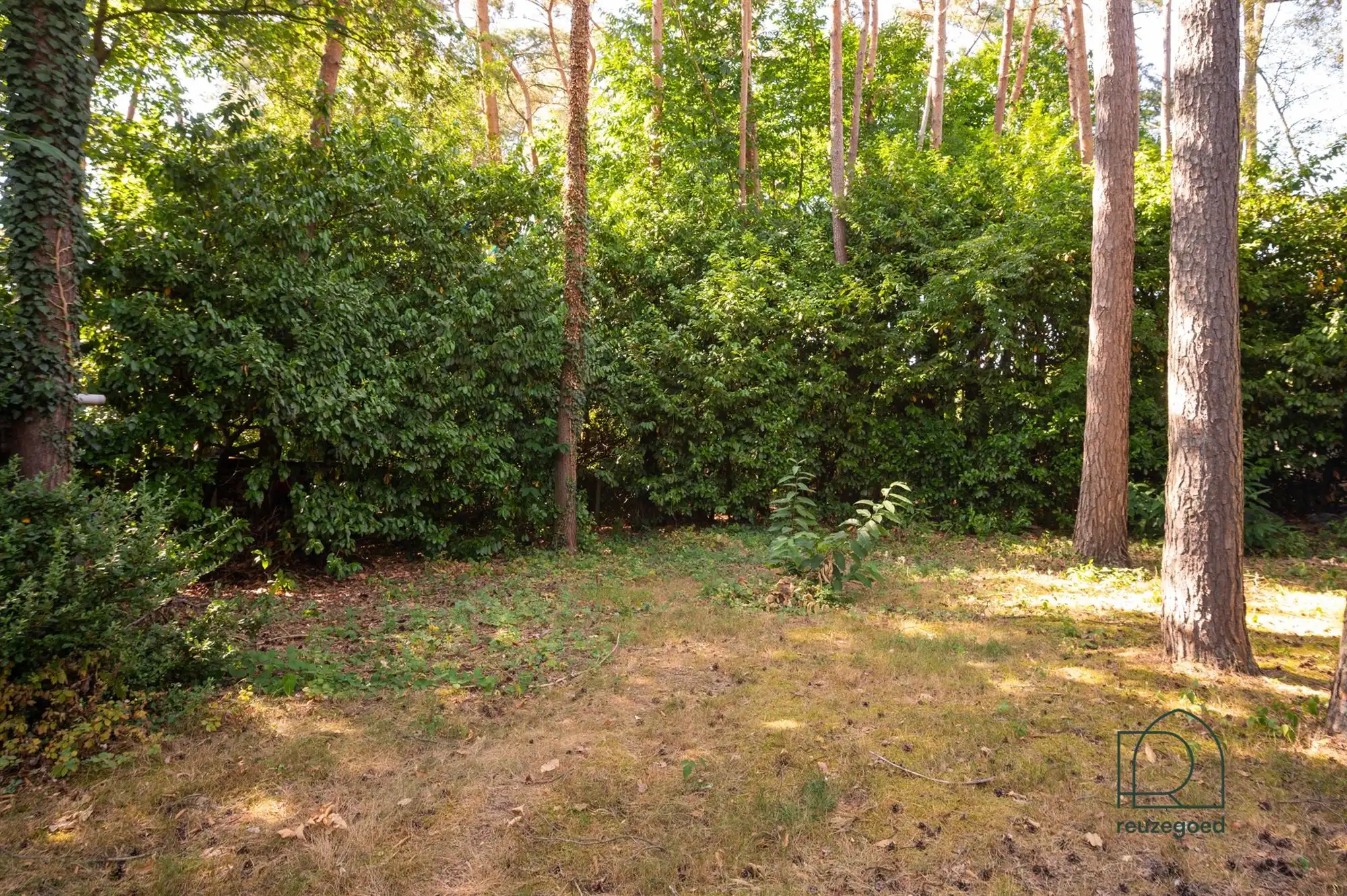 Charmante gerenoveerde open bebouwing op een prachtig perceel foto 23