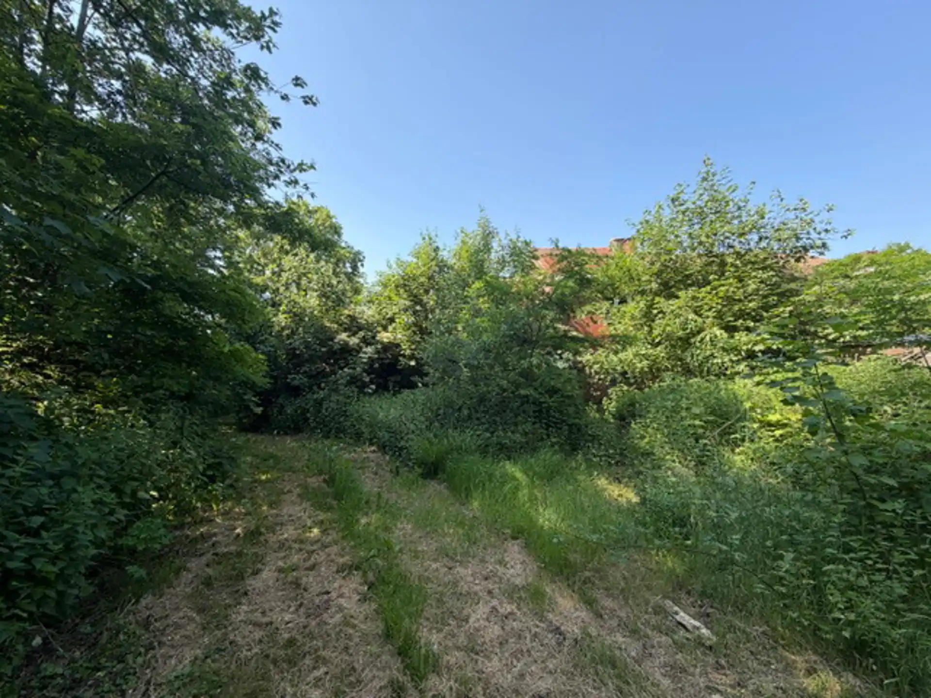 Te renoveren woning op ruim perceel foto 5