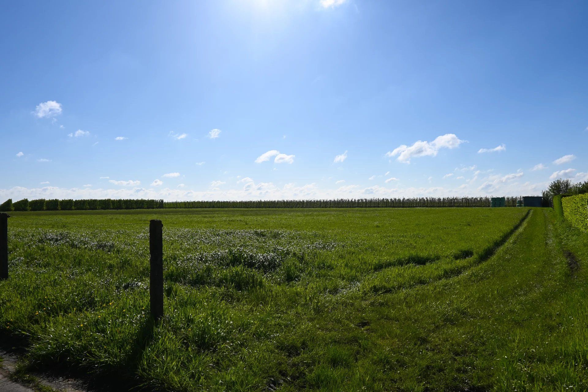 Karaktervolle te renoveren woning met veel potentieel foto 3