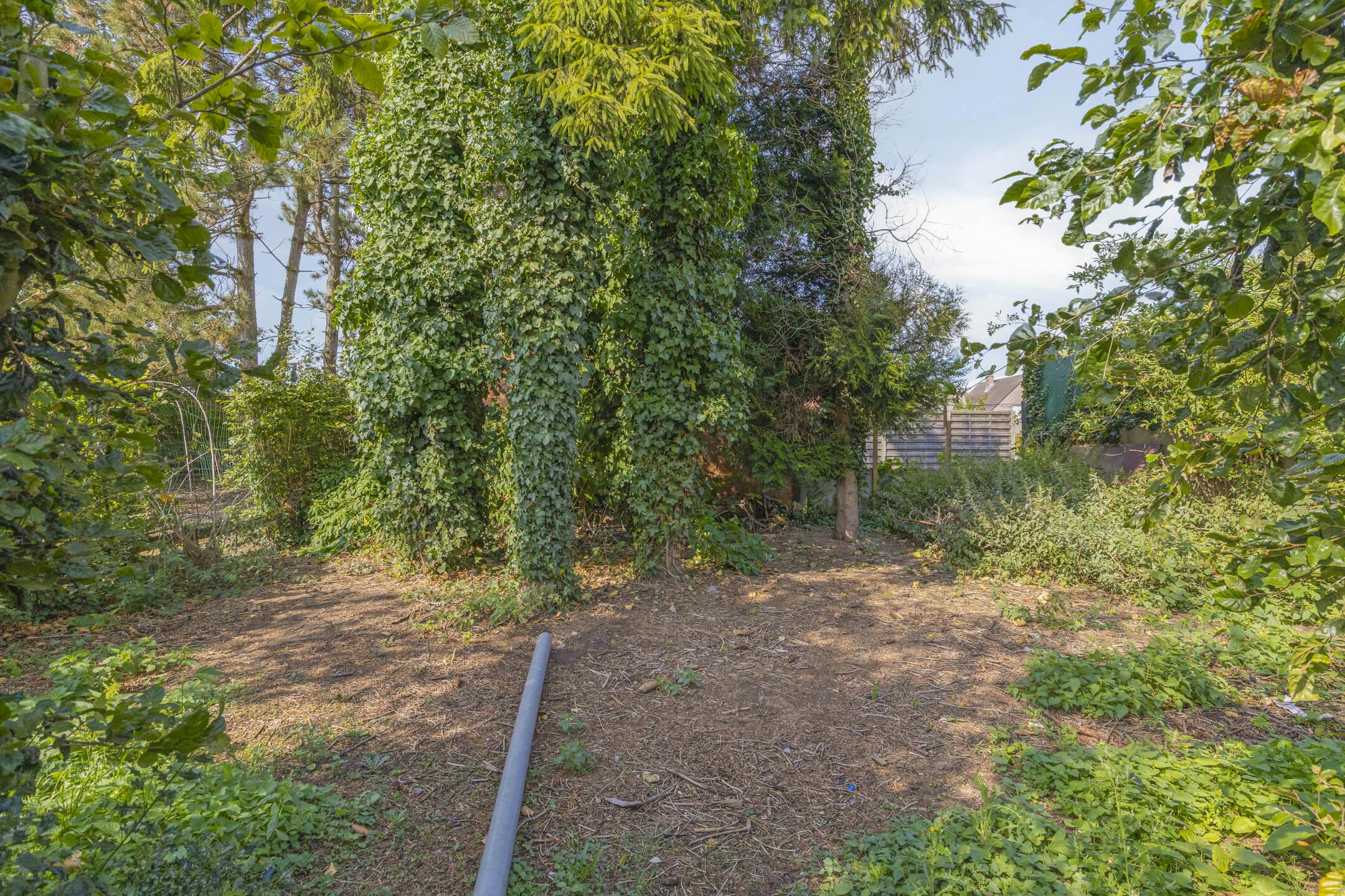 Karaktervol huis te koop nabij dorpskern Oostmalle! foto 25