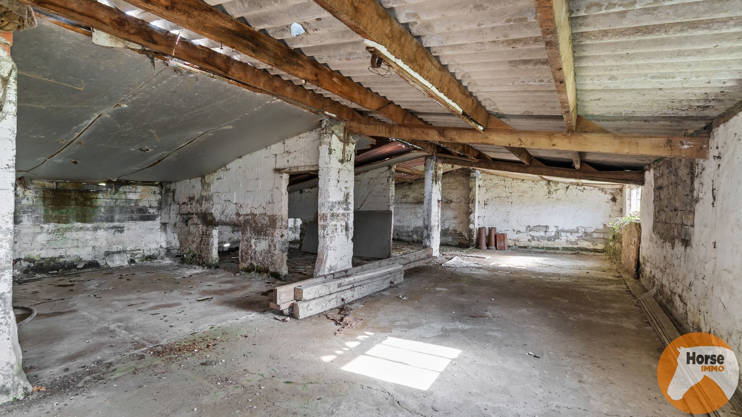 DEINZE - Landbouwwoning op +/-1,2HA foto 13