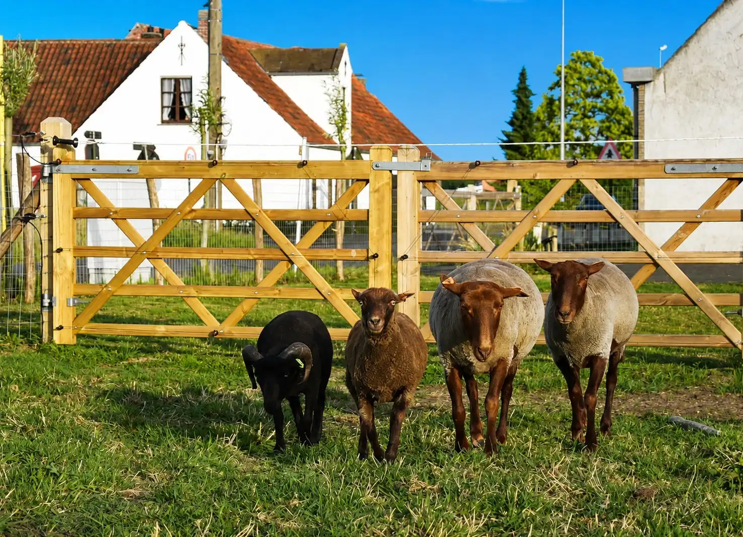 Rust, ruimte en landelijk wonen in Damme foto 10