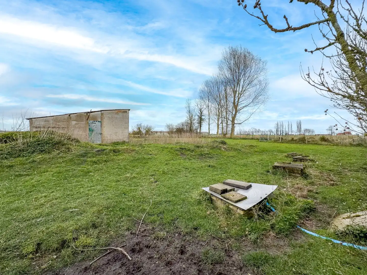 KIJKDAG ZATERDAG 21/03 VAN 10U TOT 12U! foto 28