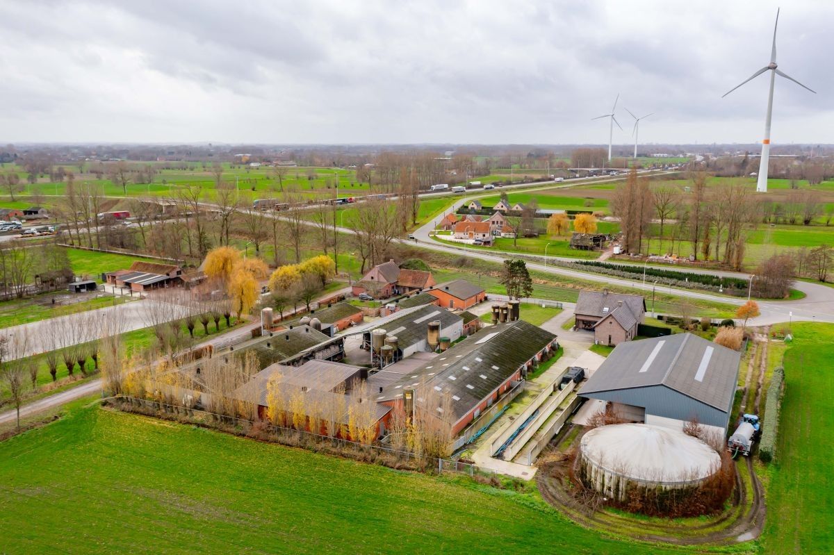 Varkensbedrijf te koop te Lochristi foto 4