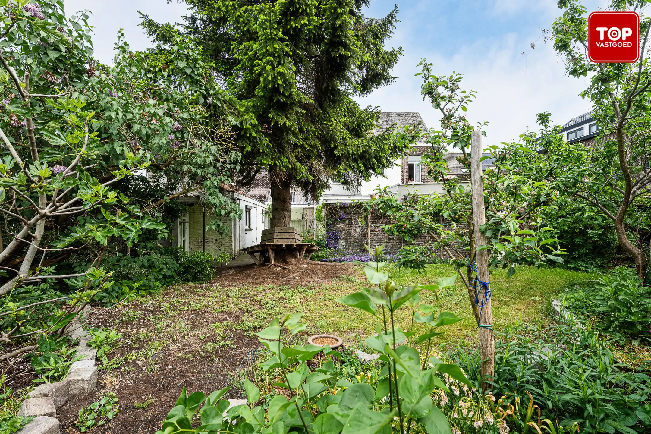 Woning met 3 slaapkamers en leuke tuin op toplocatie. foto 2