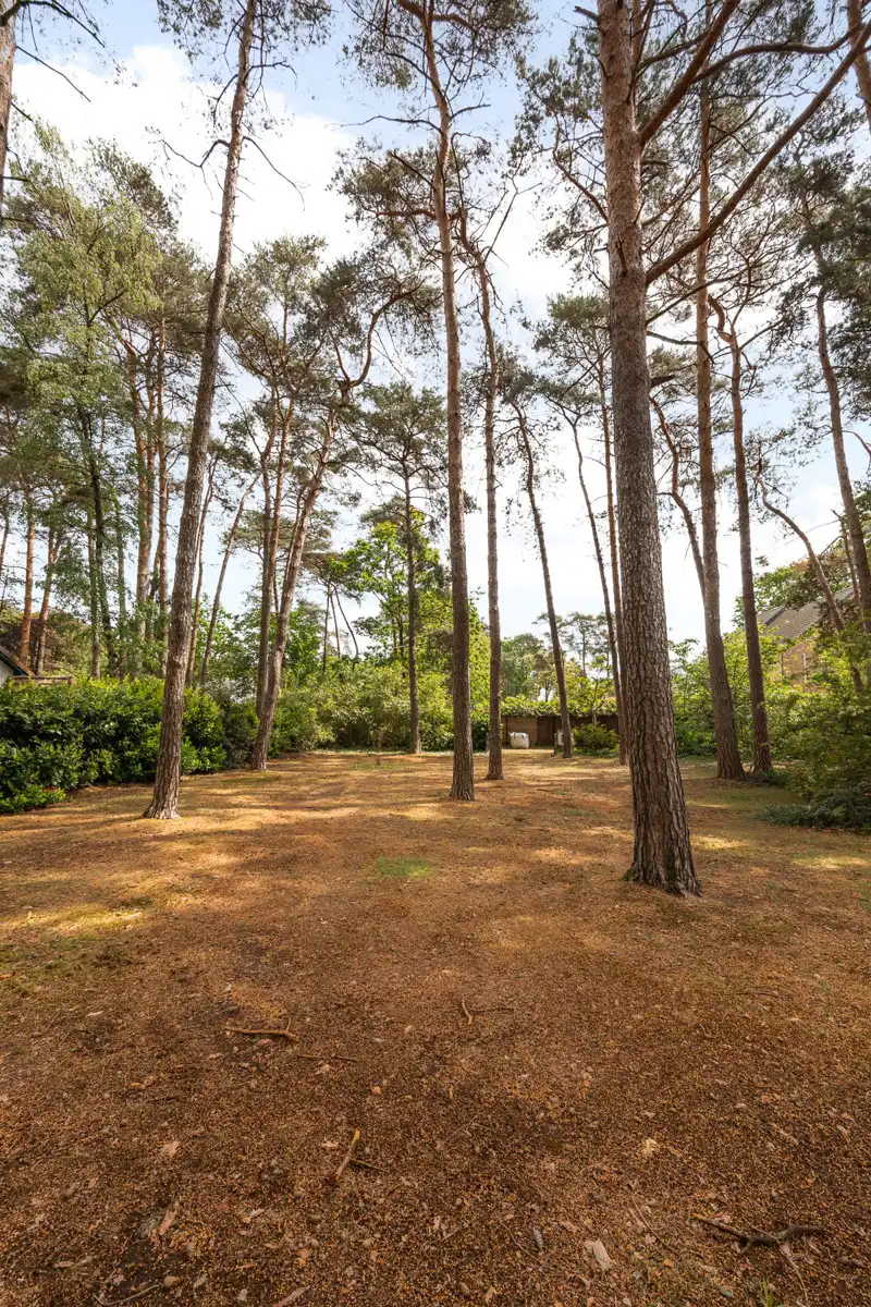 Te renoveren open laagbouwwoning op 2.497 m² te Tremelo foto 24