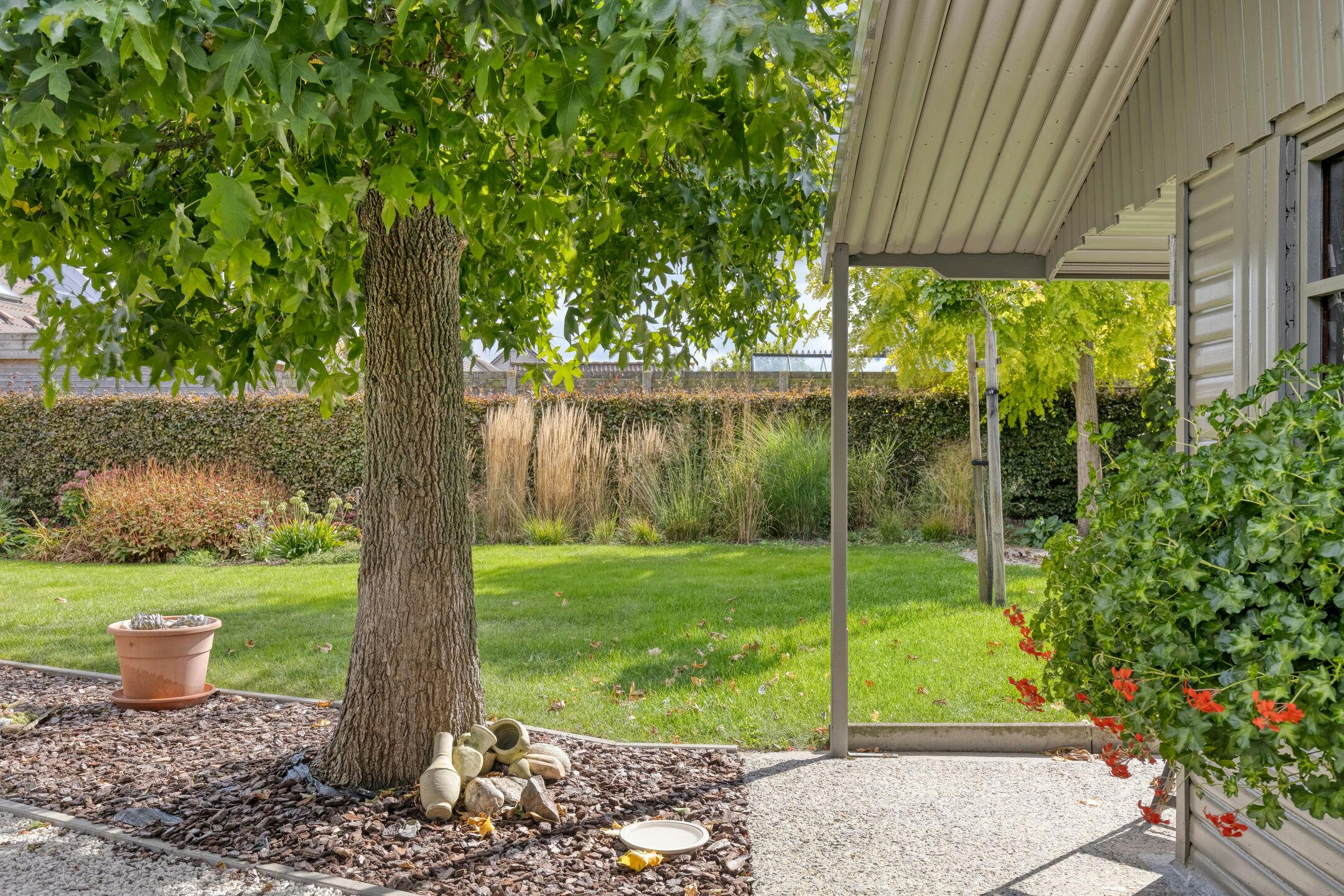 Villa te koop met 5 kamers in Dikkebus op 708m² foto 19