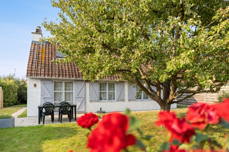 VISSERSHUIS IN VAKANTIEDOMEIN DUINHOEK foto 15
