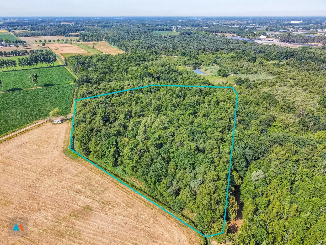 Perceel natuurgrond foto {{pictureIndex}}