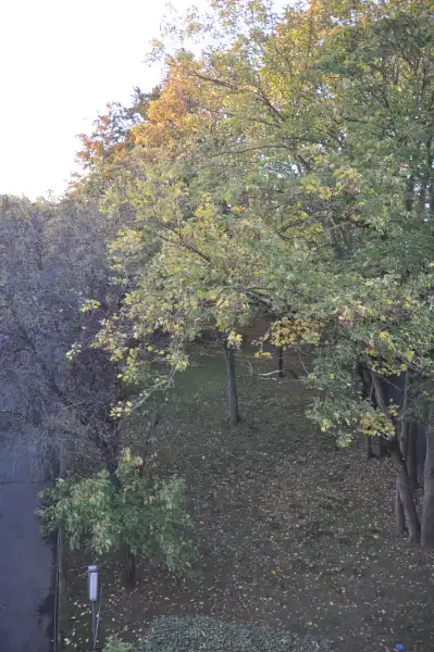 Gezelllig appartement in kleine residentie gelegen in mooie groene laan. foto 14