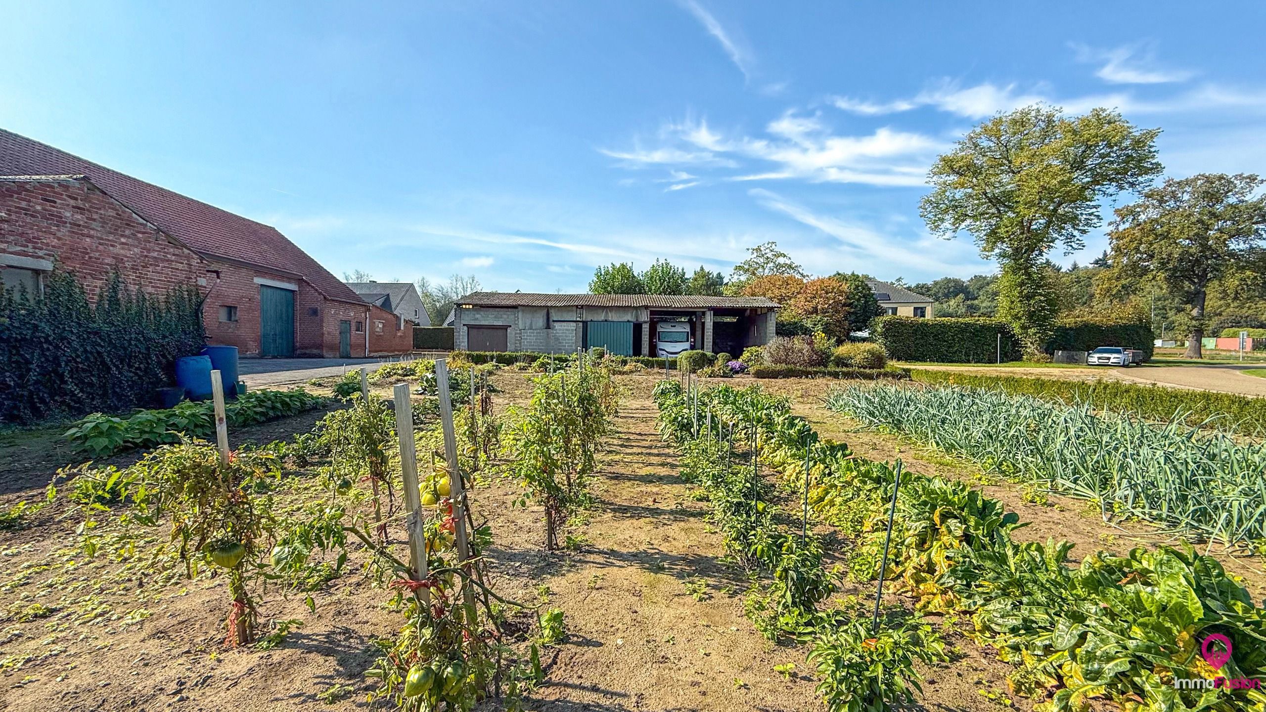 Authentieke boerderij op een riant perceel van ±33a17ca! foto 30