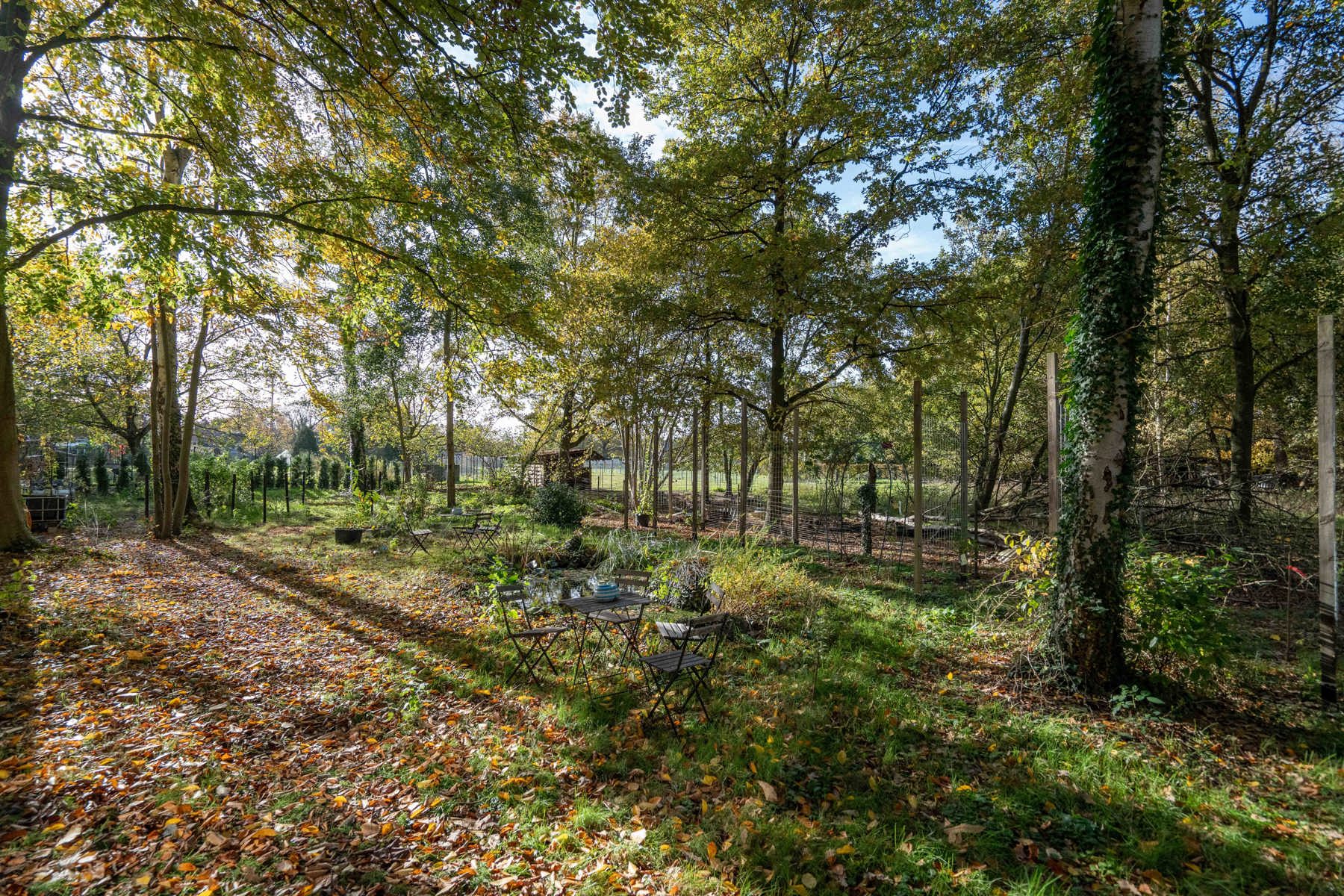 Prachtige woning in doodlopende straat in Rotselaar te koop! foto 30