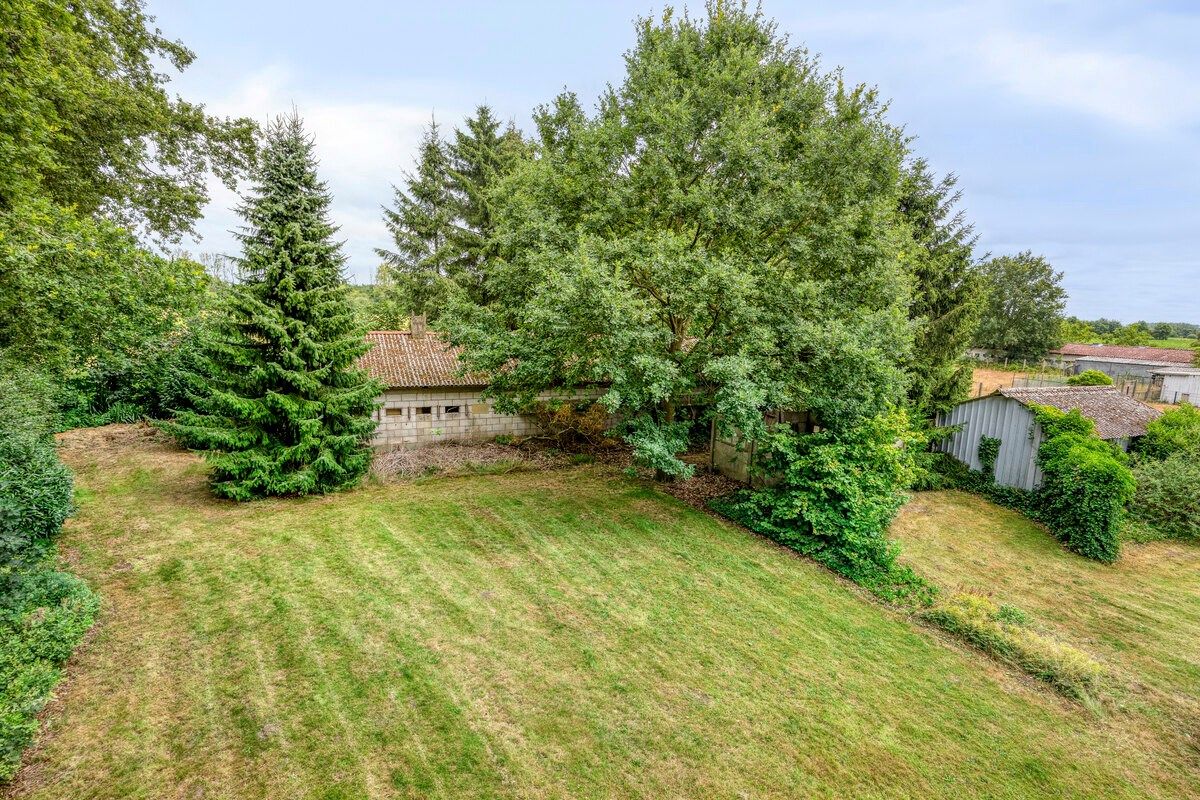 Ruim ingedeelde gelijkvloers woning met 4 slpks en bijgebouw/stal op 32 are foto 3