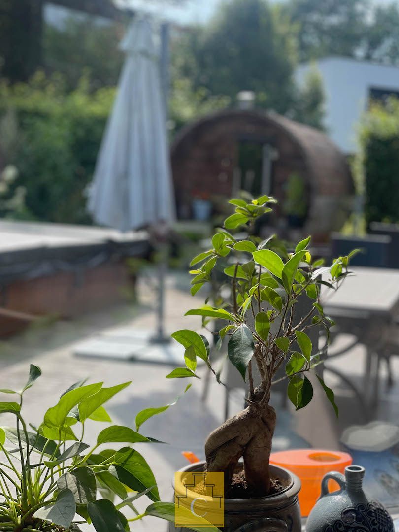 ruime villa op een zonnig perceel aan de rand van het bos, heel veel privacy, met zwemspa en barrelsauna, grote garage, perceel 1050 m2 foto 20