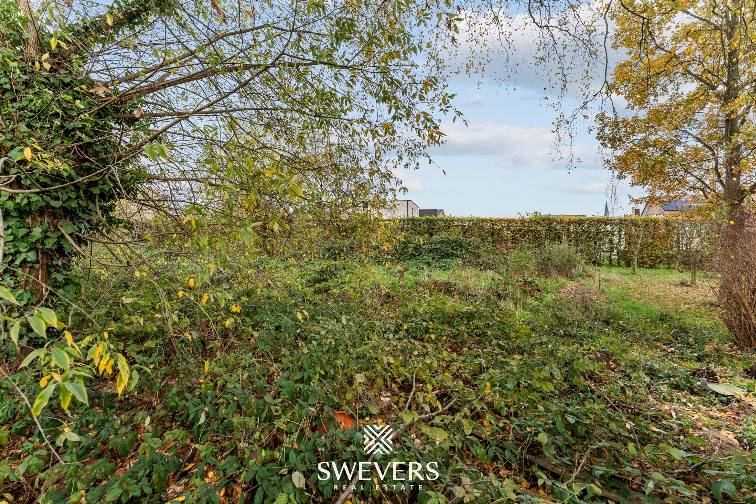 Ruime bouwgrond van 8a 8ca met zuidoost gerichte tuin rustig gelegen te Diepenbeek foto 15