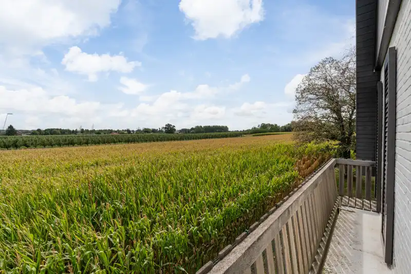 Stijlvolle woning met 3 slaapkamers en zalige tuin foto 34