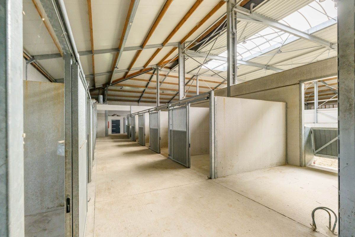 Hippisch complex te koop te Oudenburg dicht bij de kust foto 16