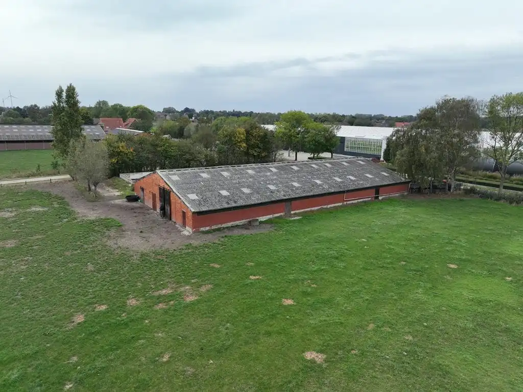 Stalgebouw te Loenhout foto 4