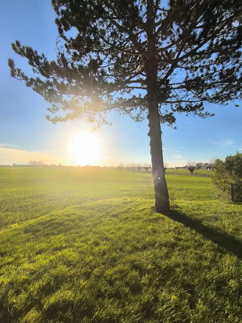 Alleenstaande woning foto 6