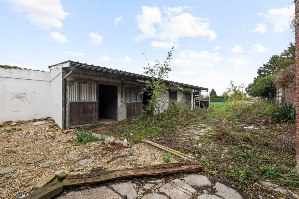 TE RENOVEREN WONING OP EEN PERCEEL VAN 14A57CA IN ZOUTLEEUW foto 22