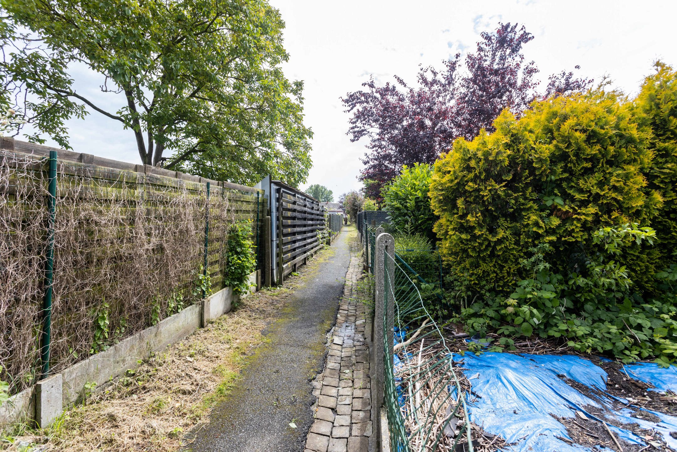 Gunstig gelegen gerenoveerde woning met grote tuin. foto 21