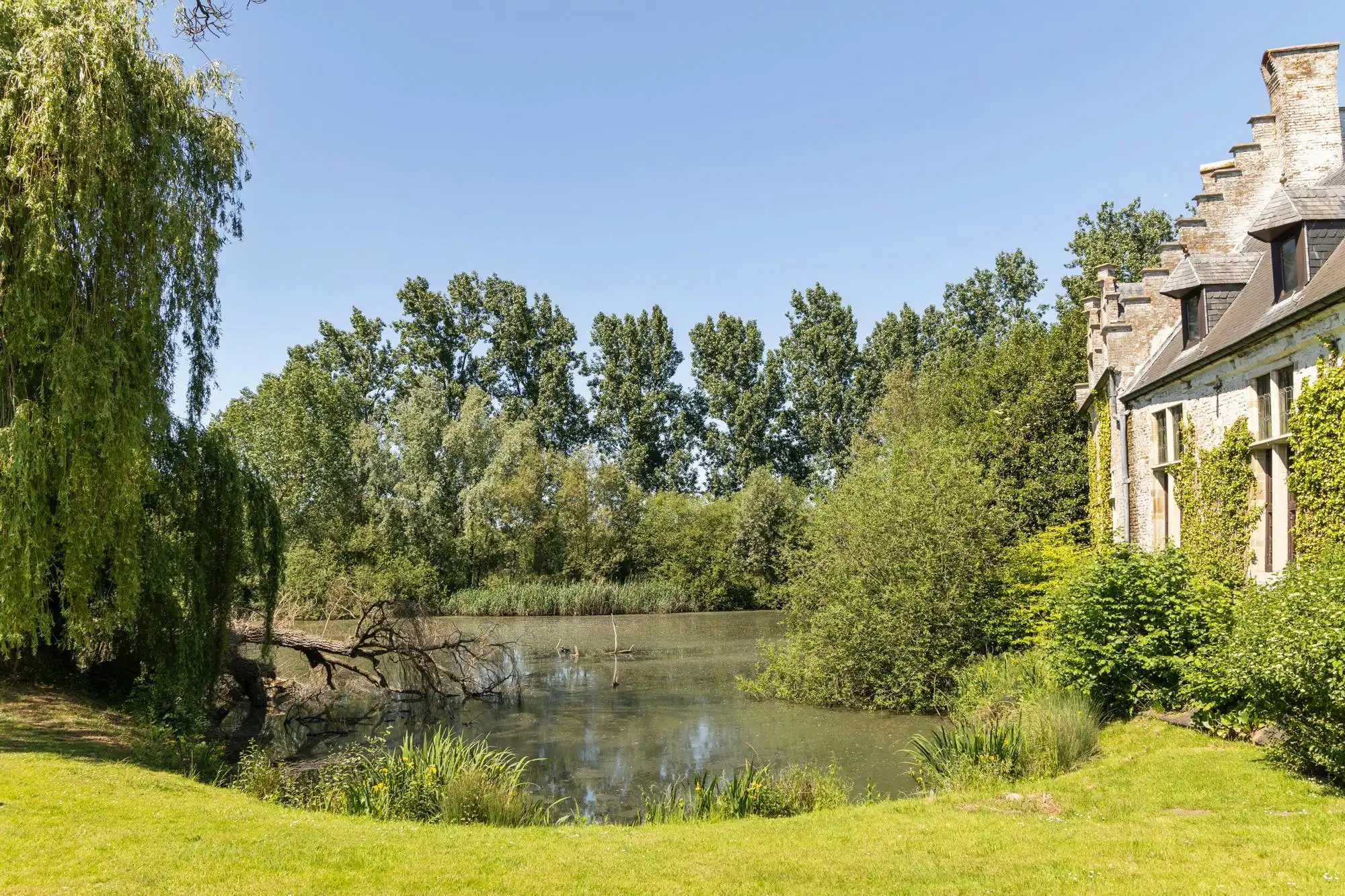 Historische kasteelhoeve en waterburcht te koop in Grimbergen  foto 3