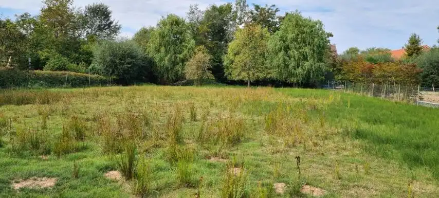 Mooi BOUWPERCEEL op 16 are 48 ca, straatbreedte 25 meter foto 3